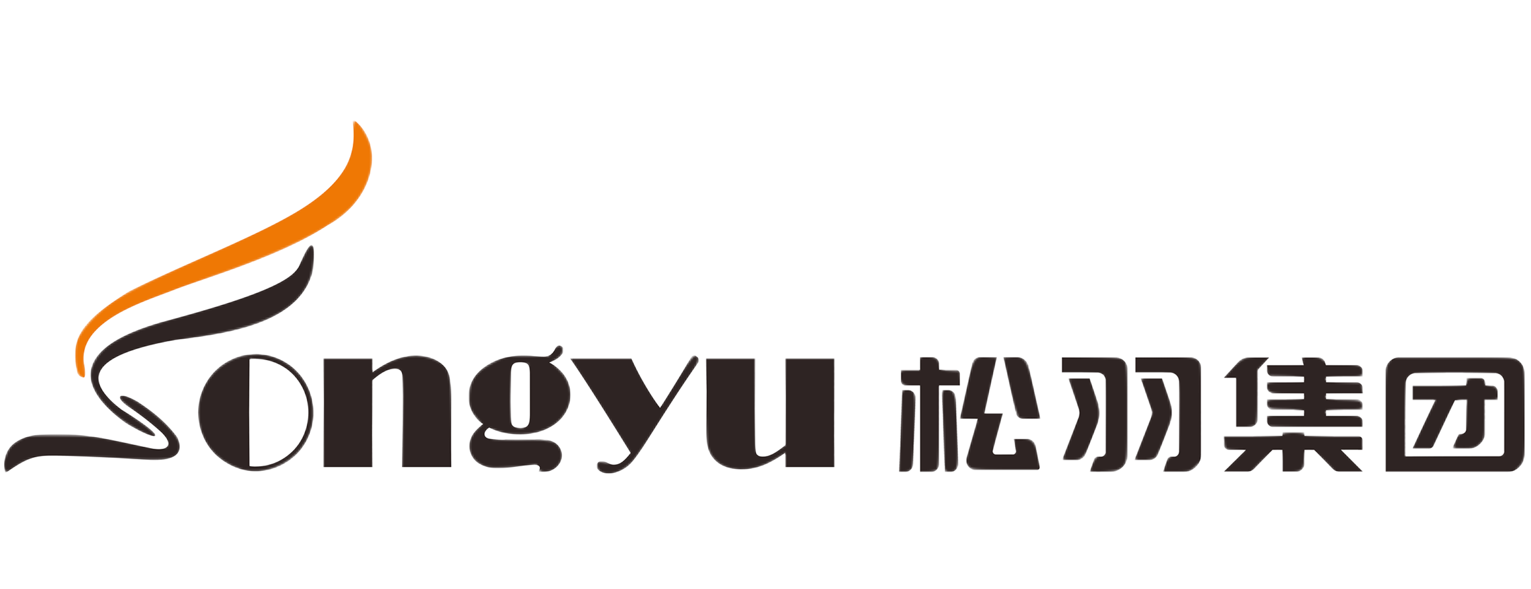 安徽松羽科技集团有限公司